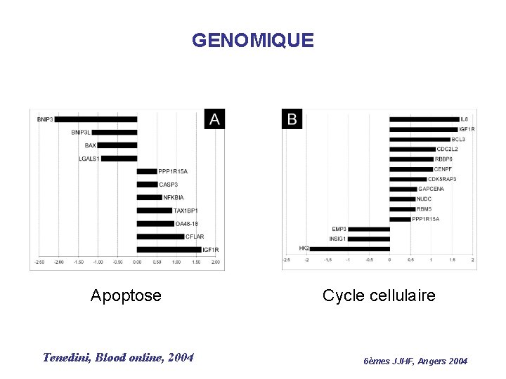 GENOMIQUE Apoptose Tenedini, Blood online, 2004 Cycle cellulaire 6èmes JJHF, Angers 2004 