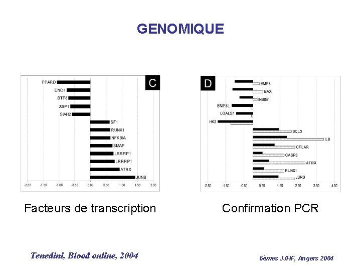 GENOMIQUE Facteurs de transcription Tenedini, Blood online, 2004 Confirmation PCR 6èmes JJHF, Angers 2004