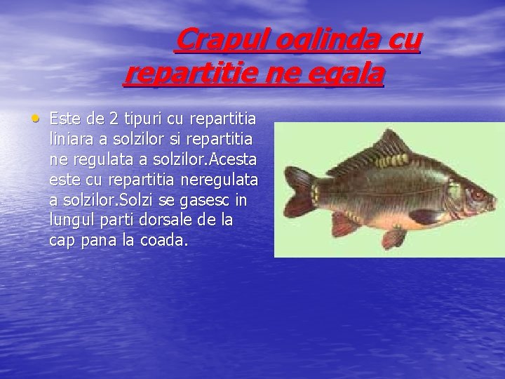 Crapul oglinda cu repartitie ne egala • Este de 2 tipuri cu repartitia liniara