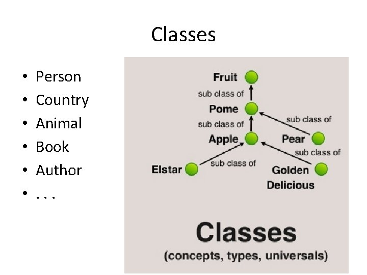 Classes • • • Person Country Animal Book Author. . . 