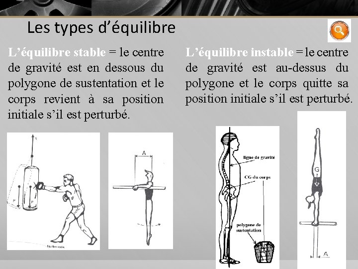 Les types d’équilibre L’équilibre stable = le centre de gravité est en dessous du