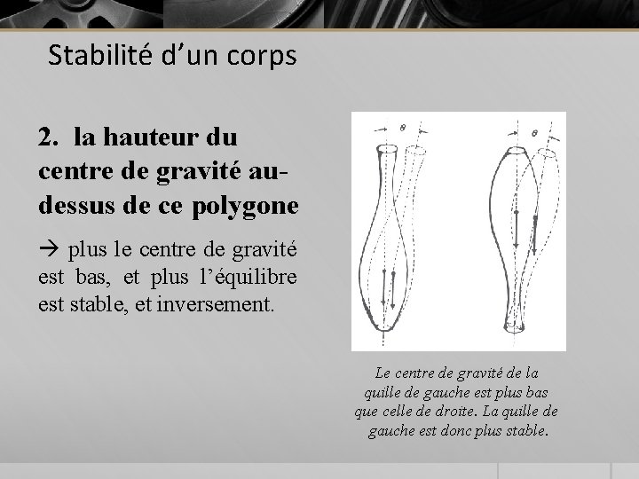 Stabilité d’un corps 2. la hauteur du centre de gravité audessus de ce polygone