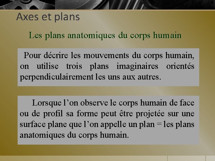 Axes et plans Les plans anatomiques du corps humain Pour décrire les mouvements du