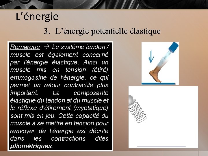 L’énergie 3. L’énergie potentielle élastique Remarque Le système tendon / muscle est également concerné