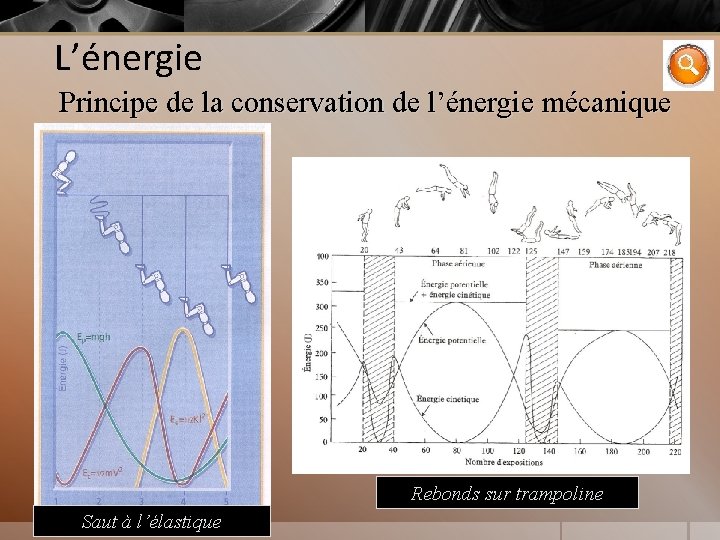 L’énergie Principe de la conservation de l’énergie mécanique Rebonds sur trampoline Saut à l’élastique