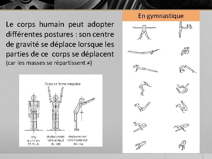 Le corps humain peut adopter différentes postures : son centre de gravité se déplace