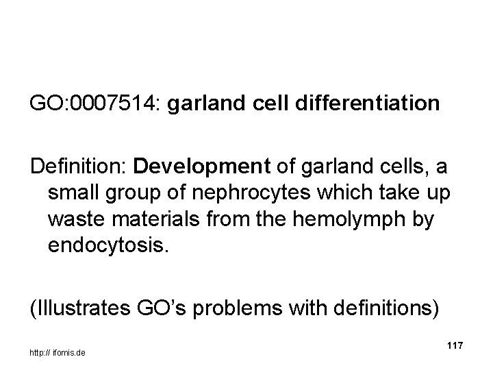 GO: 0007514: garland cell differentiation Definition: Development of garland cells, a small group of