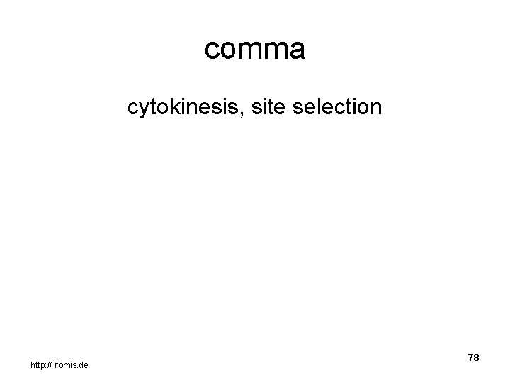 comma cytokinesis, site selection http: // ifomis. de 78 