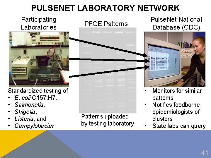 PULSENET LABORATORY NETWORK Participating Laboratories Standardized testing of • E. coli O 157: H