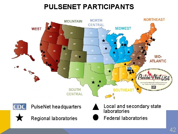 PULSENET PARTICIPANTS Pulse. Net headquarters Regional laboratories Local and secondary state laboratories Federal laboratories