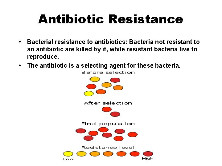 Antibiotic Resistance • Bacterial resistance to antibiotics: Bacteria not resistant to an antibiotic are