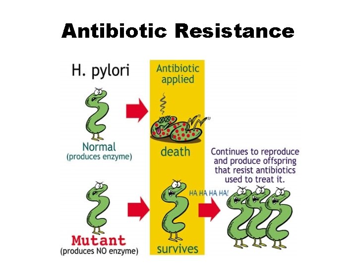 Antibiotic Resistance 