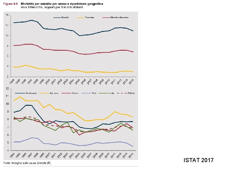 ISTAT 2017 