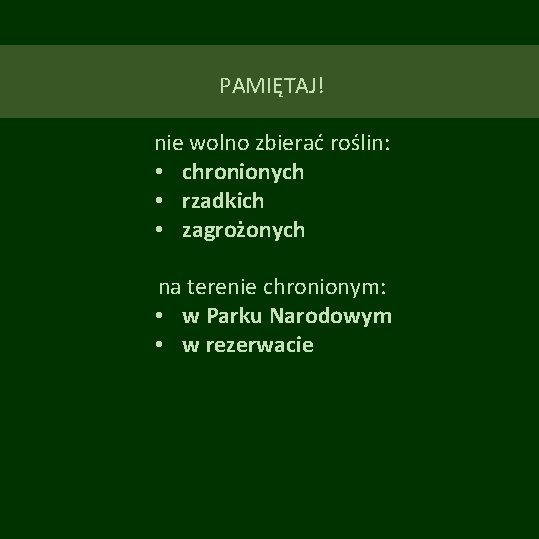 PAMIĘTAJ! nie wolno zbierać roślin: • chronionych • rzadkich • zagrożonych na terenie chronionym: