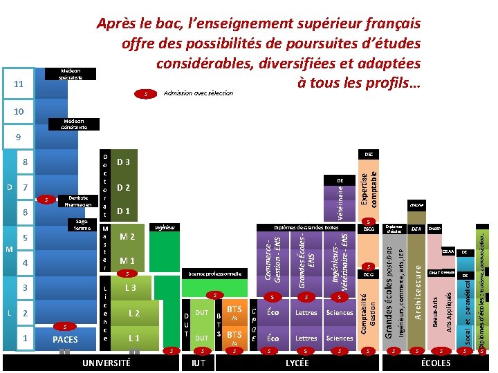 Médecin spécialiste 11 Après le bac, l’enseignement supérieur français offre des possibilités de poursuites