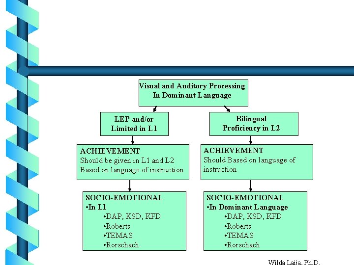 Visual and Auditory Processing In Dominant Language LEP and/or Limited in L 1 Bilingual