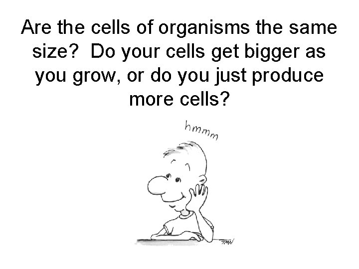 Are the cells of organisms the same size? Do your cells get bigger as