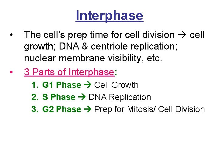 Interphase • • The cell’s prep time for cell division cell growth; DNA &