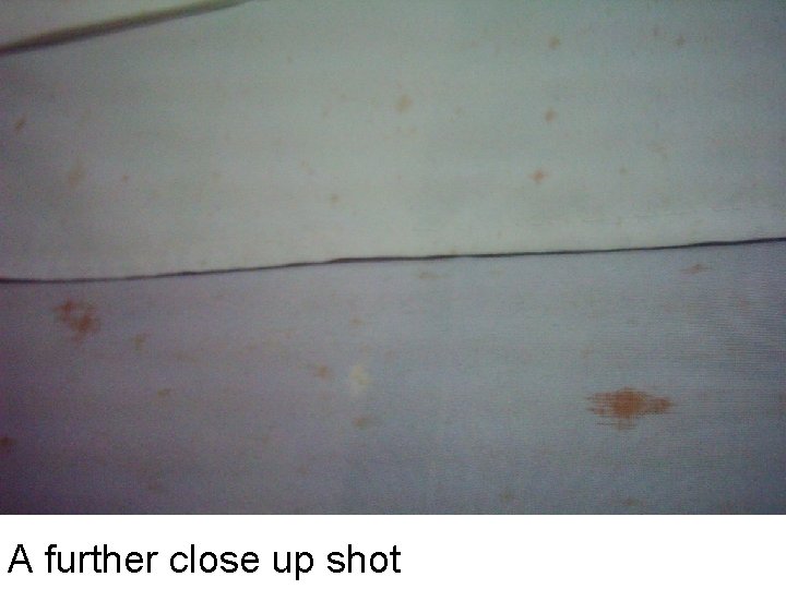 A further close up shot 