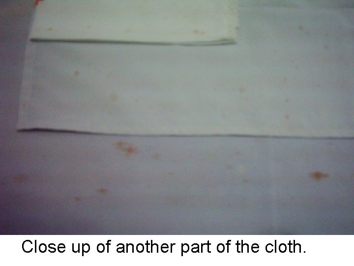 Close up of another part of the cloth. 
