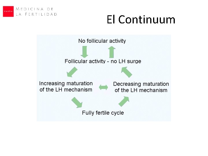 El Continuum 