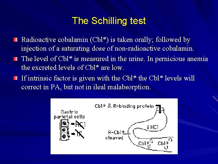 The Schilling test Radioactive cobalamin (Cbl*) is taken orally; followed by injection of a