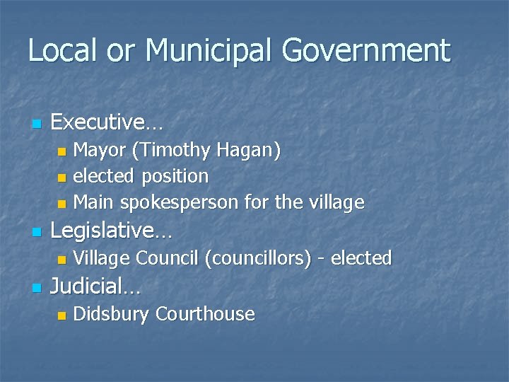 Local or Municipal Government n Executive… Mayor (Timothy Hagan) n elected position n Main