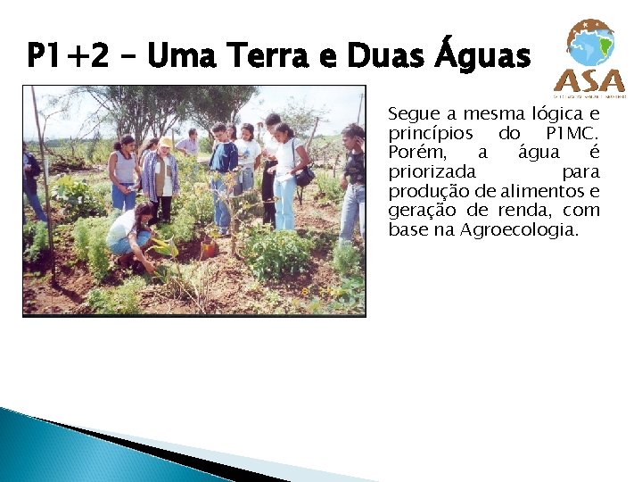 P 1+2 – Uma Terra e Duas Águas Segue a mesma lógica e princípios