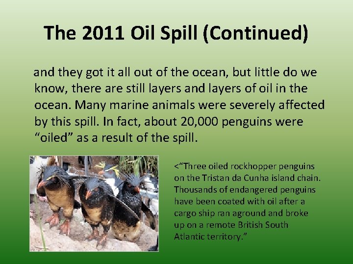 The 2011 Oil Spill (Continued) and they got it all out of the ocean,