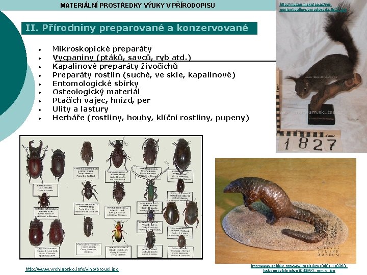MATERIÁLNÍ PROSTŘEDKY VÝUKY V PŘÍRODOPISU http: //muzeum. skutec. cz/wpcontent/gallery/prirodoveda/1827. jpg II. Přírodniny preparované a