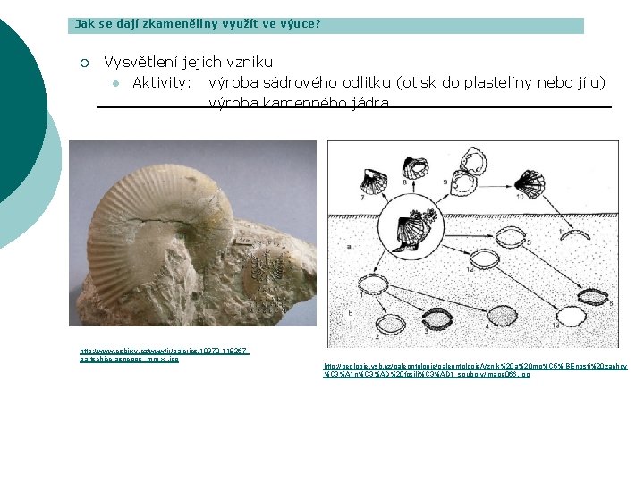 Jak se dají zkameněliny využít ve výuce? ¡ Vysvětlení jejich vzniku l Aktivity: výroba