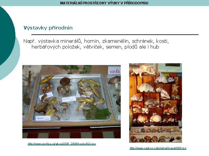 MATERIÁLNÍ PROSTŘEDKY VÝUKY V PŘÍRODOPISU Výstavky přírodnin Např. výstavka minerálů, hornin, zkamenělin, schránek, kostí,