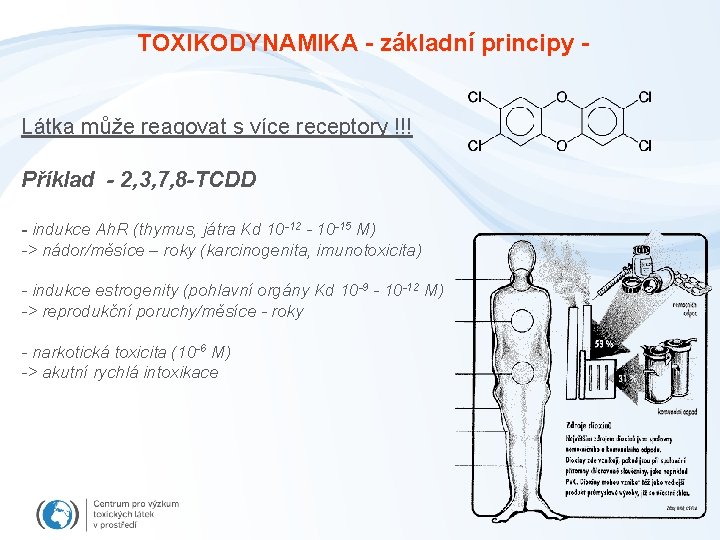 TOXIKODYNAMIKA - základní principy Látka může reagovat s více receptory !!! Příklad - 2,