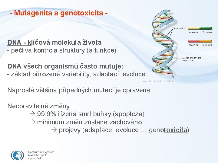 - Mutagenita a genotoxicita - DNA - klíčová molekula života - pečlivá kontrola struktury