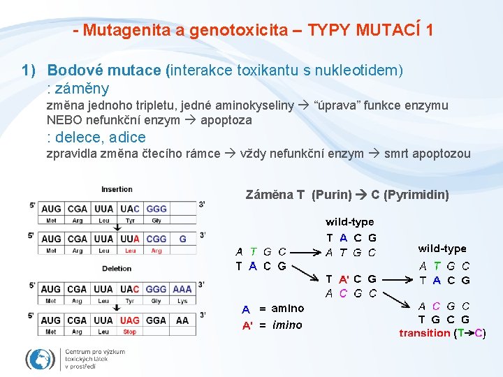 - Mutagenita a genotoxicita – TYPY MUTACÍ 1 1) Bodové mutace (interakce toxikantu s