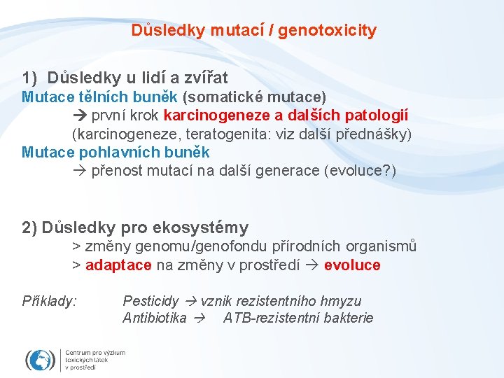 Důsledky mutací / genotoxicity 1) Důsledky u lidí a zvířat Mutace tělních buněk (somatické