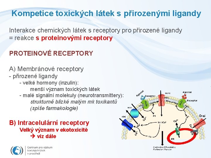 Kompetice toxických látek s přirozenými ligandy Interakce chemických látek s receptory pro přirozené ligandy