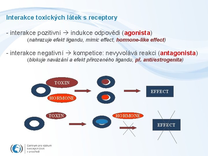 Interakce toxických látek s receptory - interakce pozitivní indukce odpovědi (agonista) (nahrazuje efekt ligandu,