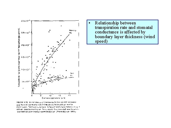  • Relationship between transpiration rate and stomatal conductance is affected by boundary layer