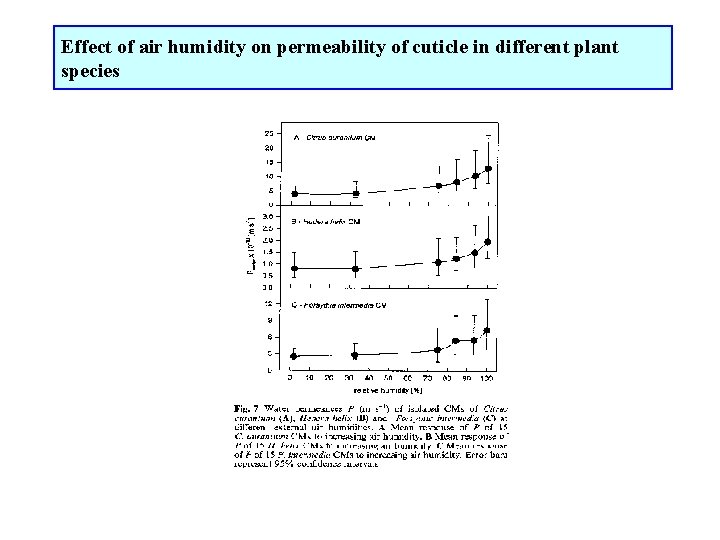 Effect of air humidity on permeability of cuticle in different plant species 