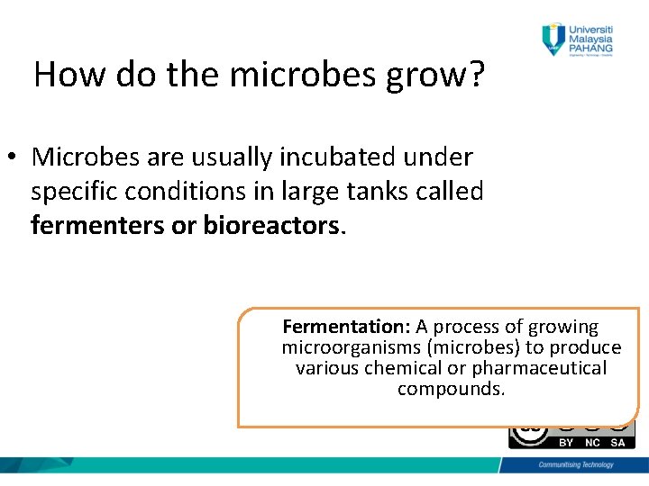 How do the microbes grow? • Microbes are usually incubated under specific conditions in