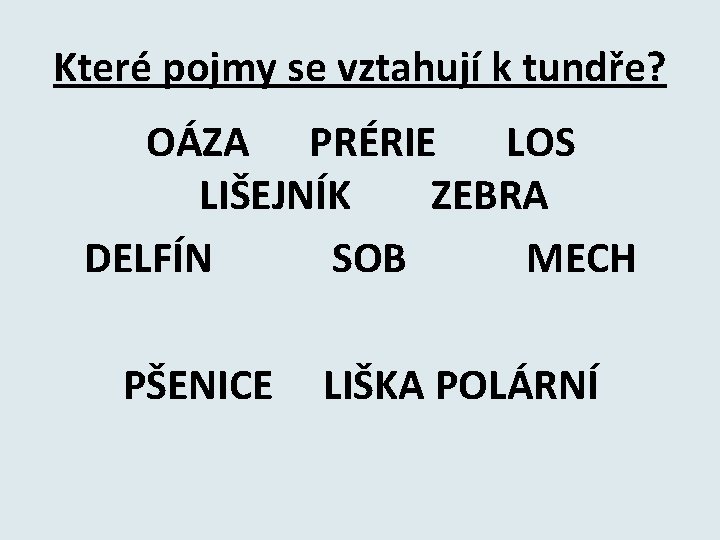 Které pojmy se vztahují k tundře? OÁZA PRÉRIE LOS LIŠEJNÍK ZEBRA DELFÍN SOB MECH