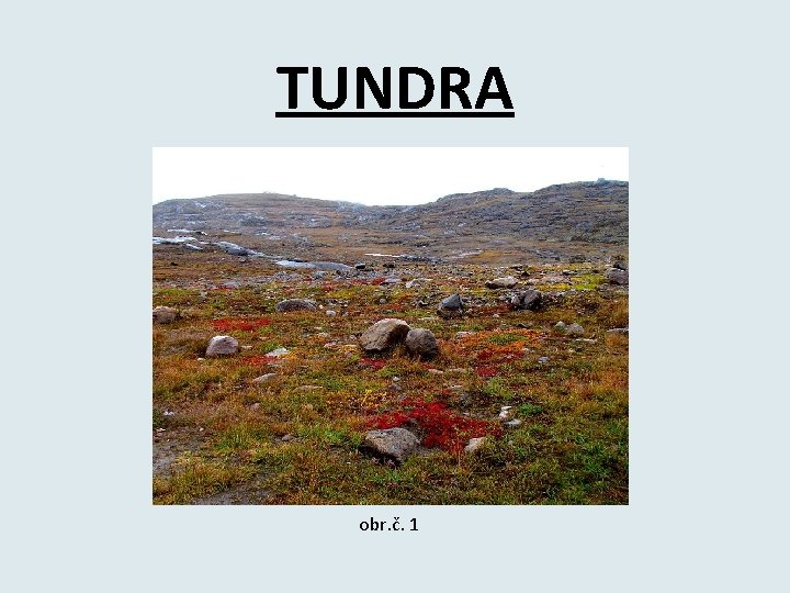 TUNDRA obr. č. 1 