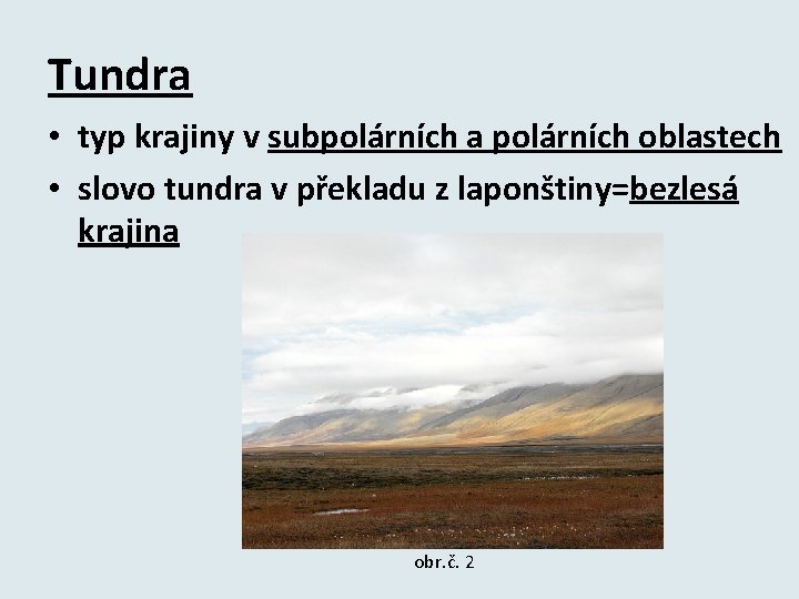 Tundra • typ krajiny v subpolárních a polárních oblastech • slovo tundra v překladu