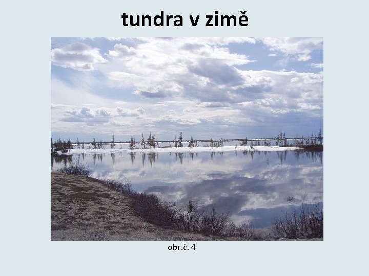 tundra v zimě obr. č. 4 