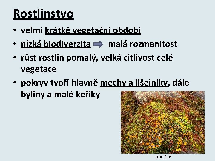 Rostlinstvo • velmi krátké vegetační období • nízká biodiverzita malá rozmanitost • růst rostlin