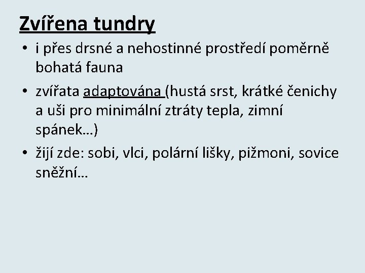 Zvířena tundry • i přes drsné a nehostinné prostředí poměrně bohatá fauna • zvířata