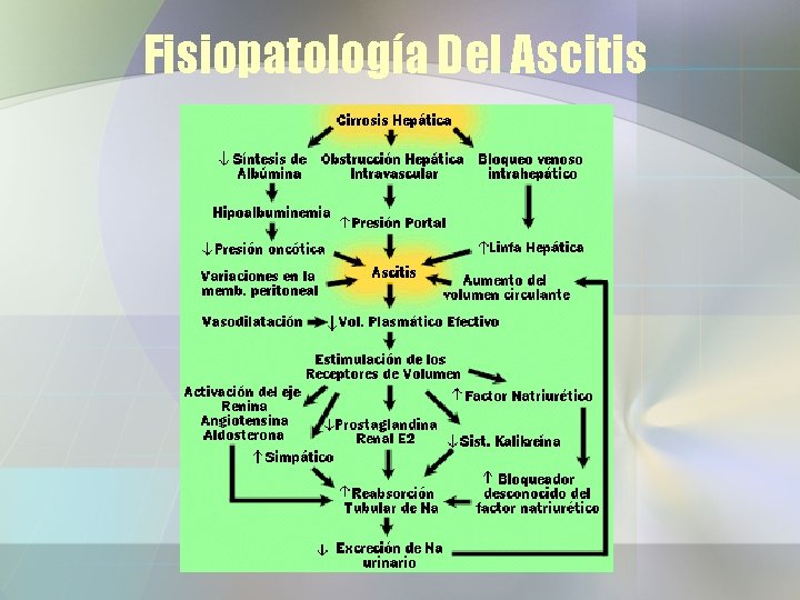 Fisiopatología Del Ascitis 