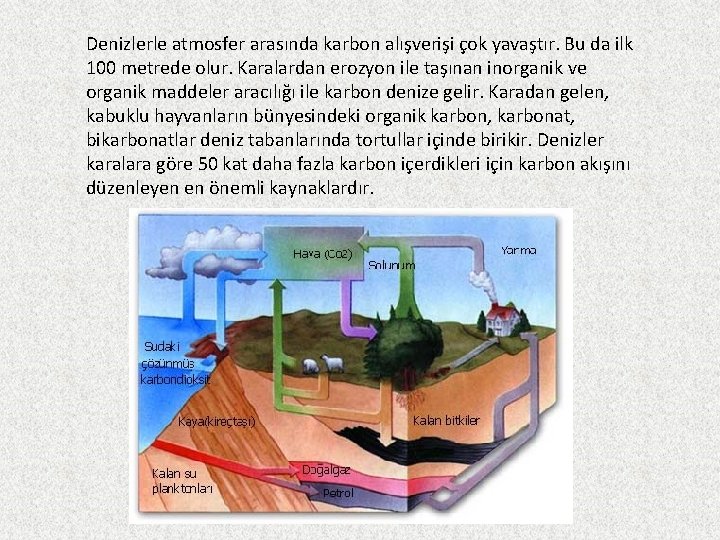 Denizlerle atmosfer arasında karbon alışverişi çok yavaştır. Bu da ilk 100 metrede olur. Karalardan