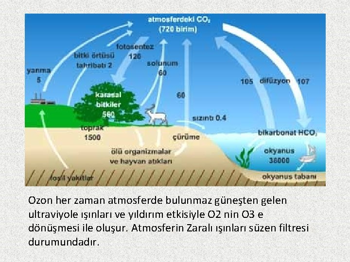 Ozon her zaman atmosferde bulunmaz güneşten gelen ultraviyole ışınları ve yıldırım etkisiyle O 2